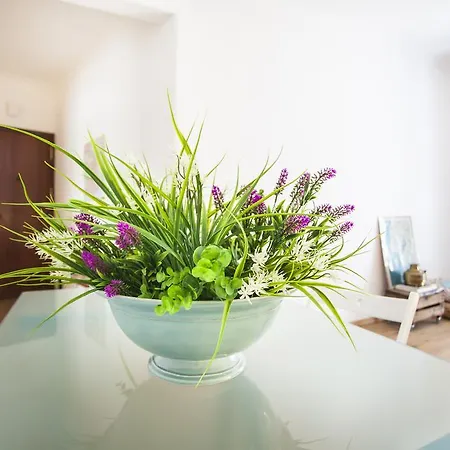 St. Antonio Sunny Apartment *